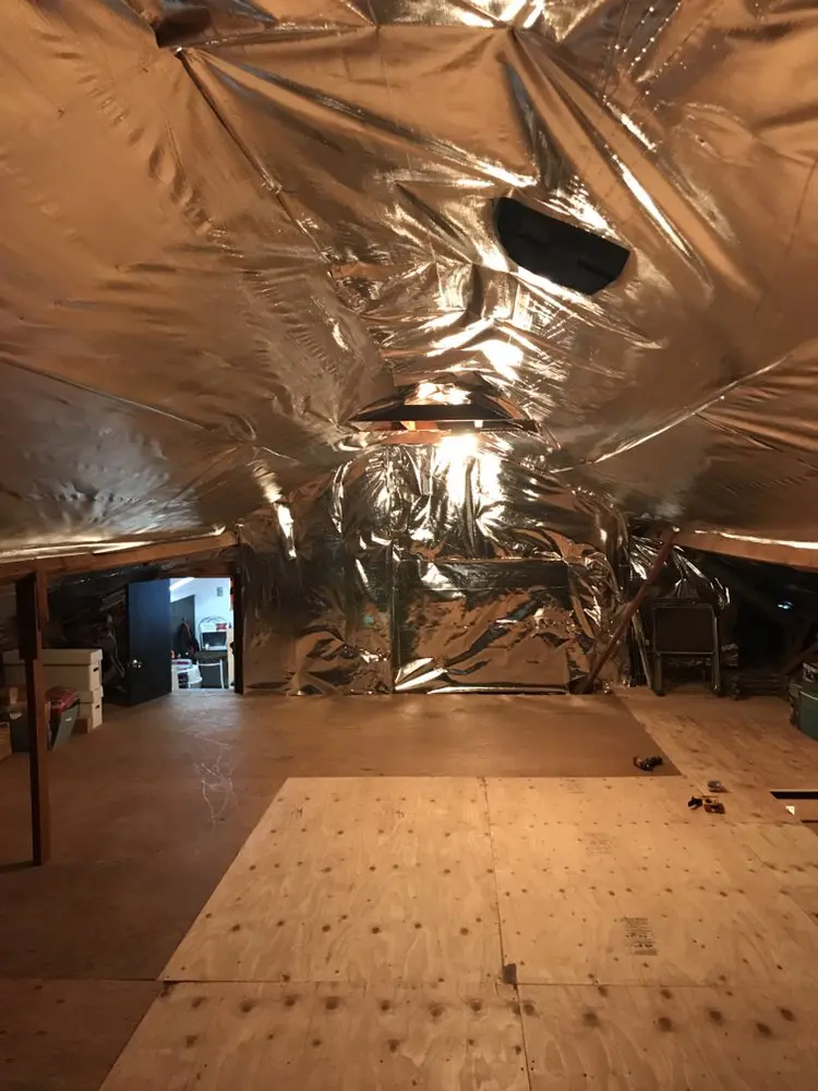 professional Rodent Proofing