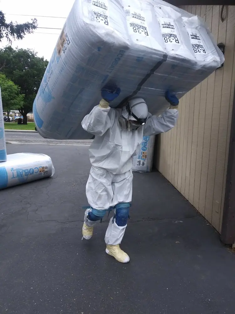professional Rodent Proofing