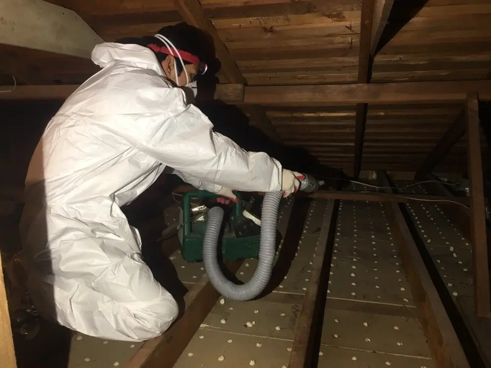 Rodent Proofing company