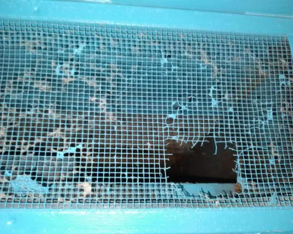 Rodent Proofing specialist