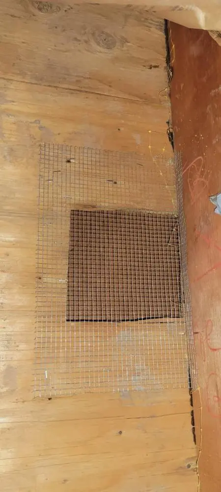 Rodent Proofing around me